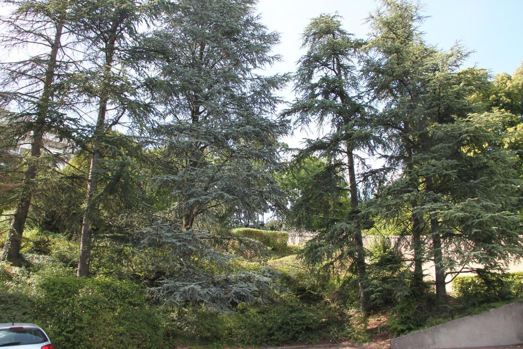 Les Hauts De Perrache Bed and Breakfast Sainte-Foy-lès-Lyon Esterno foto